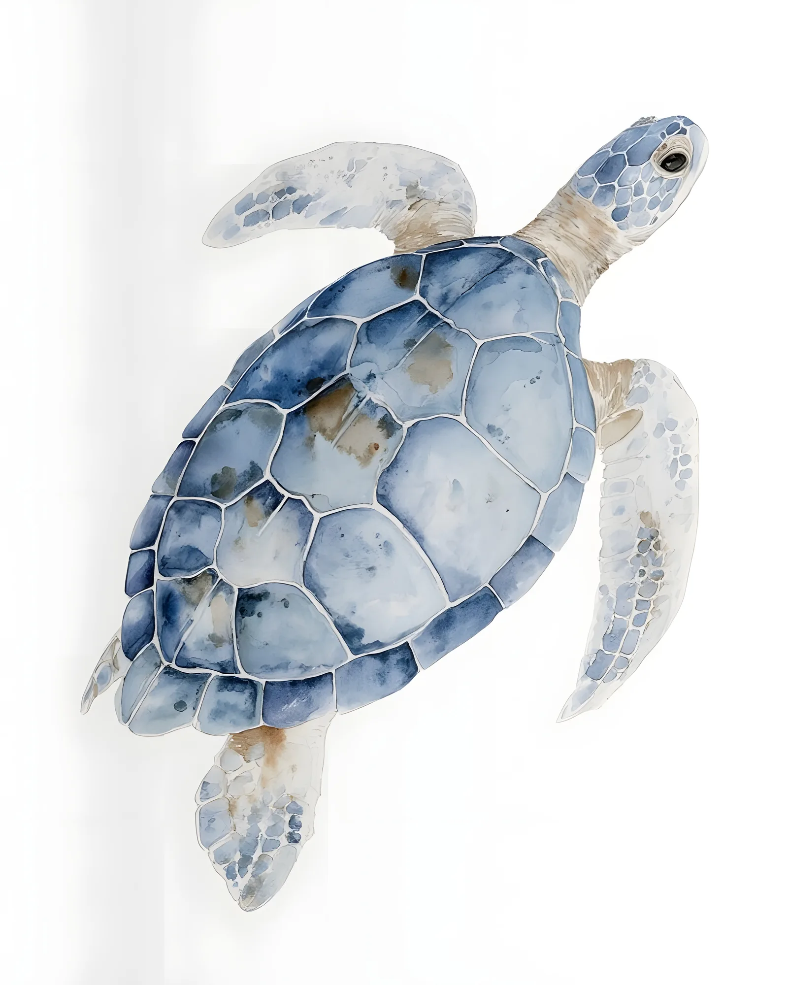 PixuPrint Sea Turtle Top View