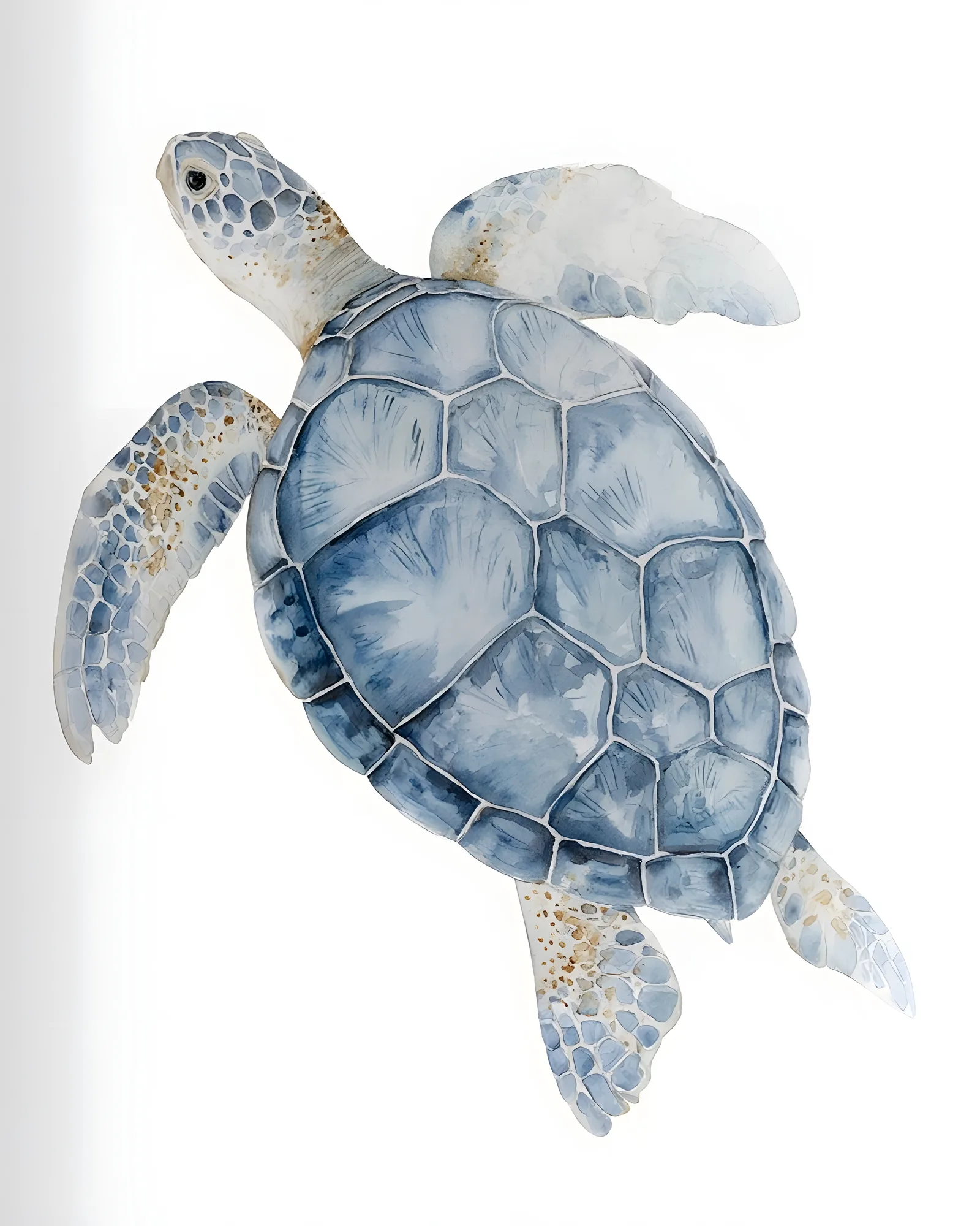 PixuPrint Sea Turtle Top View Alt